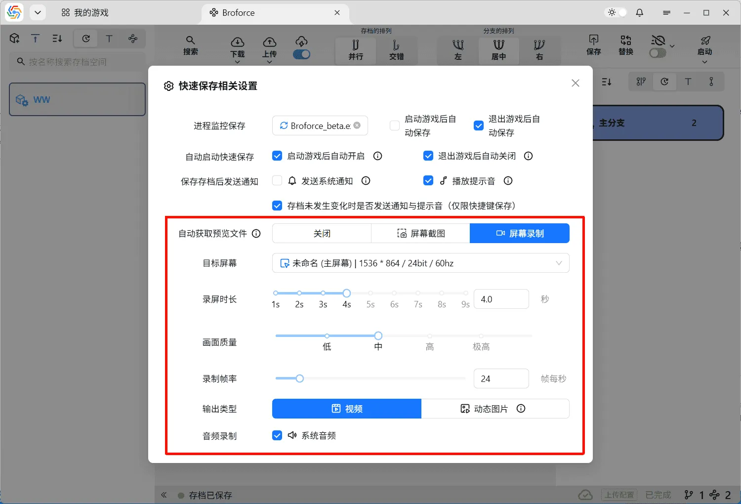 Screen Recording Settings